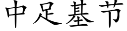 中足基節 (楷體矢量字庫)