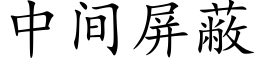 中间屏蔽 (楷体矢量字库)