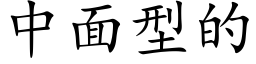 中面型的 (楷體矢量字庫)