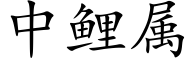 中鲤属 (楷体矢量字库)
