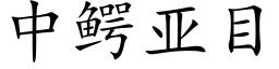 中鳄亚目 (楷体矢量字库)