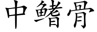 中鳍骨 (楷体矢量字库)