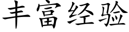 豐富經驗 (楷體矢量字庫)