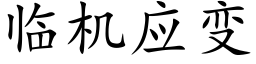 临机应变 (楷体矢量字库)