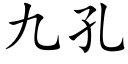 九孔 (楷體矢量字庫)