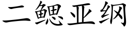 二鳃亚纲 (楷体矢量字库)