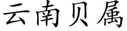 云南贝属 (楷体矢量字库)