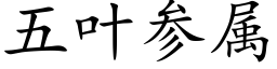 五葉參屬 (楷體矢量字庫)