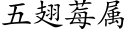 五翅莓屬 (楷體矢量字庫)