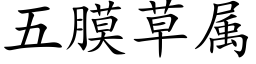 五膜草属 (楷体矢量字库)