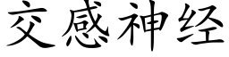 交感神经 (楷体矢量字库)