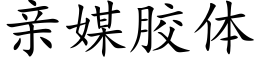 親媒膠體 (楷體矢量字庫)