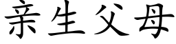 亲生父母 (楷体矢量字库)