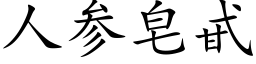 人參皂甙 (楷體矢量字庫)