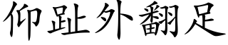 仰趾外翻足 (楷体矢量字库)