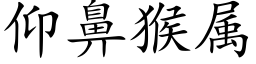 仰鼻猴属 (楷体矢量字库)