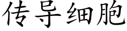 传导细胞 (楷体矢量字库)