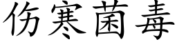 伤寒菌毒 (楷体矢量字库)