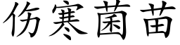 伤寒菌苗 (楷体矢量字库)