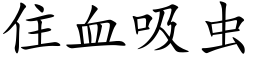 住血吸虫 (楷体矢量字库)