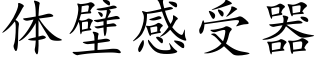 体壁感受器 (楷体矢量字库)