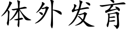 體外發育 (楷體矢量字庫)