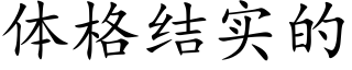 体格结实的 (楷体矢量字库)
