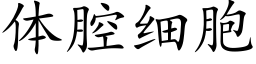 體腔細胞 (楷體矢量字庫)