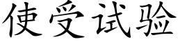 使受试验 (楷体矢量字库)