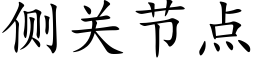 侧关节点 (楷体矢量字库)