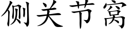 侧关节窝 (楷体矢量字库)