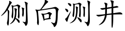 侧向测井 (楷体矢量字库)