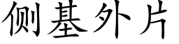 側基外片 (楷體矢量字庫)