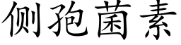 側孢菌素 (楷體矢量字庫)