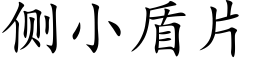 側小盾片 (楷體矢量字庫)