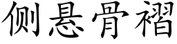 侧悬骨褶 (楷体矢量字库)