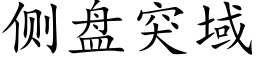 侧盘突域 (楷体矢量字库)