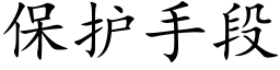 保护手段 (楷体矢量字库)