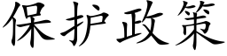 保護政策 (楷體矢量字庫)