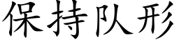 保持队形 (楷体矢量字库)