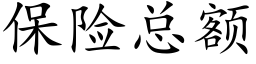 保險總額 (楷體矢量字庫)