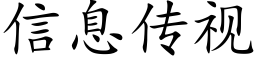 信息傳視 (楷體矢量字庫)