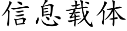 信息載體 (楷體矢量字庫)