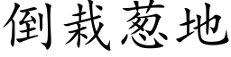 倒栽蔥地 (楷體矢量字庫)