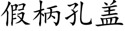 假柄孔盖 (楷体矢量字库)