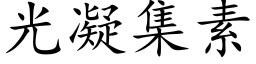 光凝集素 (楷體矢量字庫)