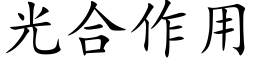 光合作用 (楷体矢量字库)