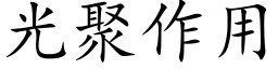 光聚作用 (楷體矢量字庫)