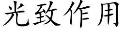 光緻作用 (楷體矢量字庫)