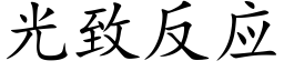 光致反应 (楷体矢量字库)